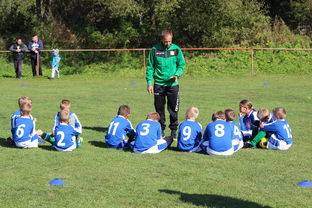 九游体育官网入口-欧洲杯冠军悬念：战术配合与个人能力巅峰对决，欧洲杯冠军大热门